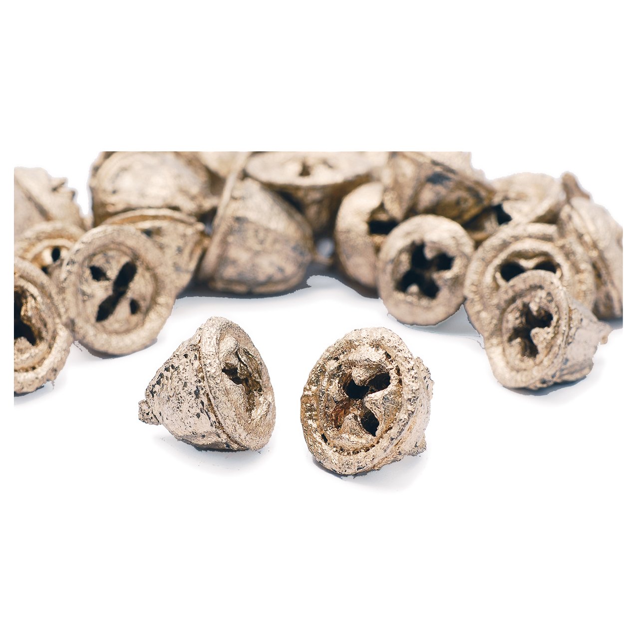 Amazon｜オオチノウエン(Ohchinouen) 大地農園 ドライフラワー